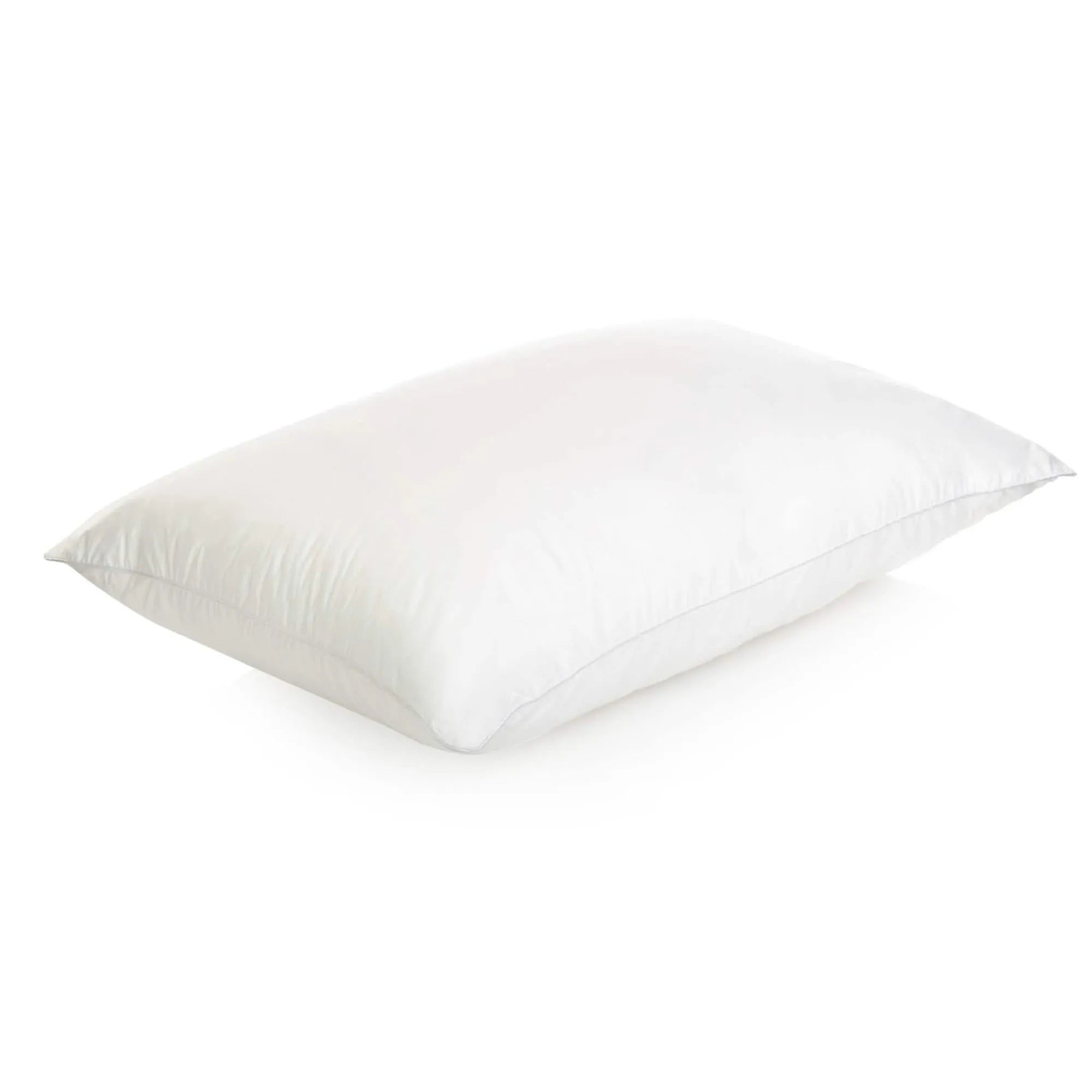 Dreams To Go Lunar Pillow