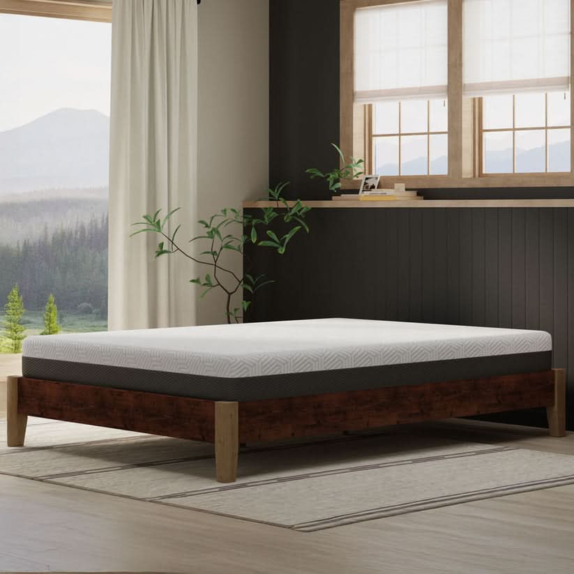 Dreams to Go Aqua at Mattress Mattress