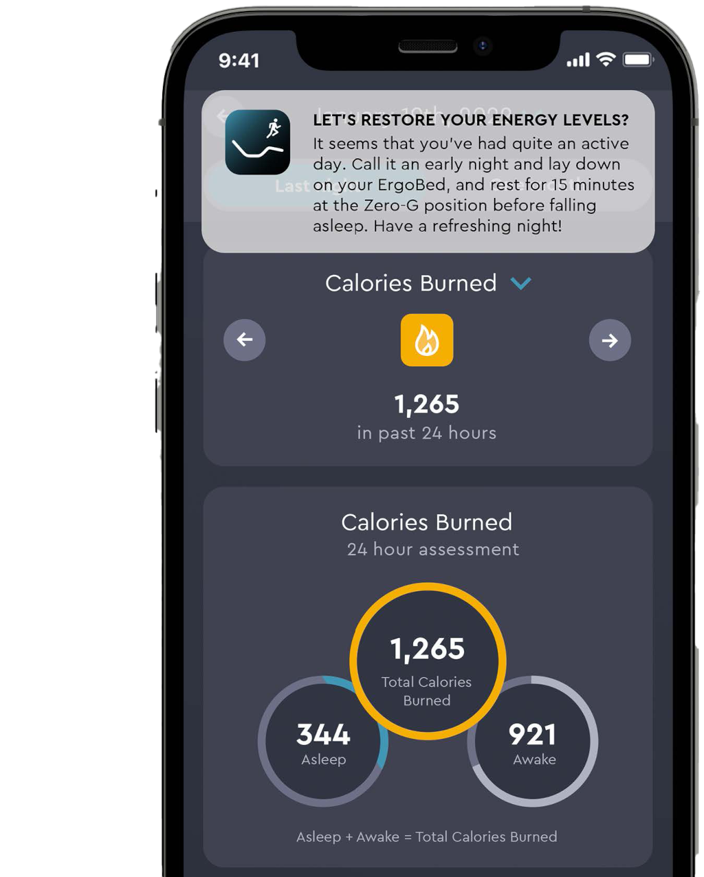 ErgoSportive Adjustable Bed