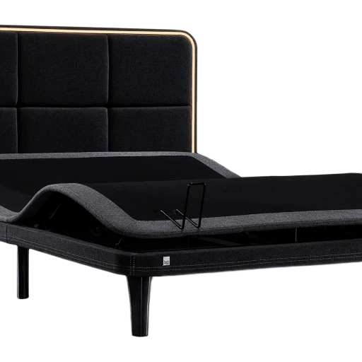 ErgoSportive Adjustable Bed