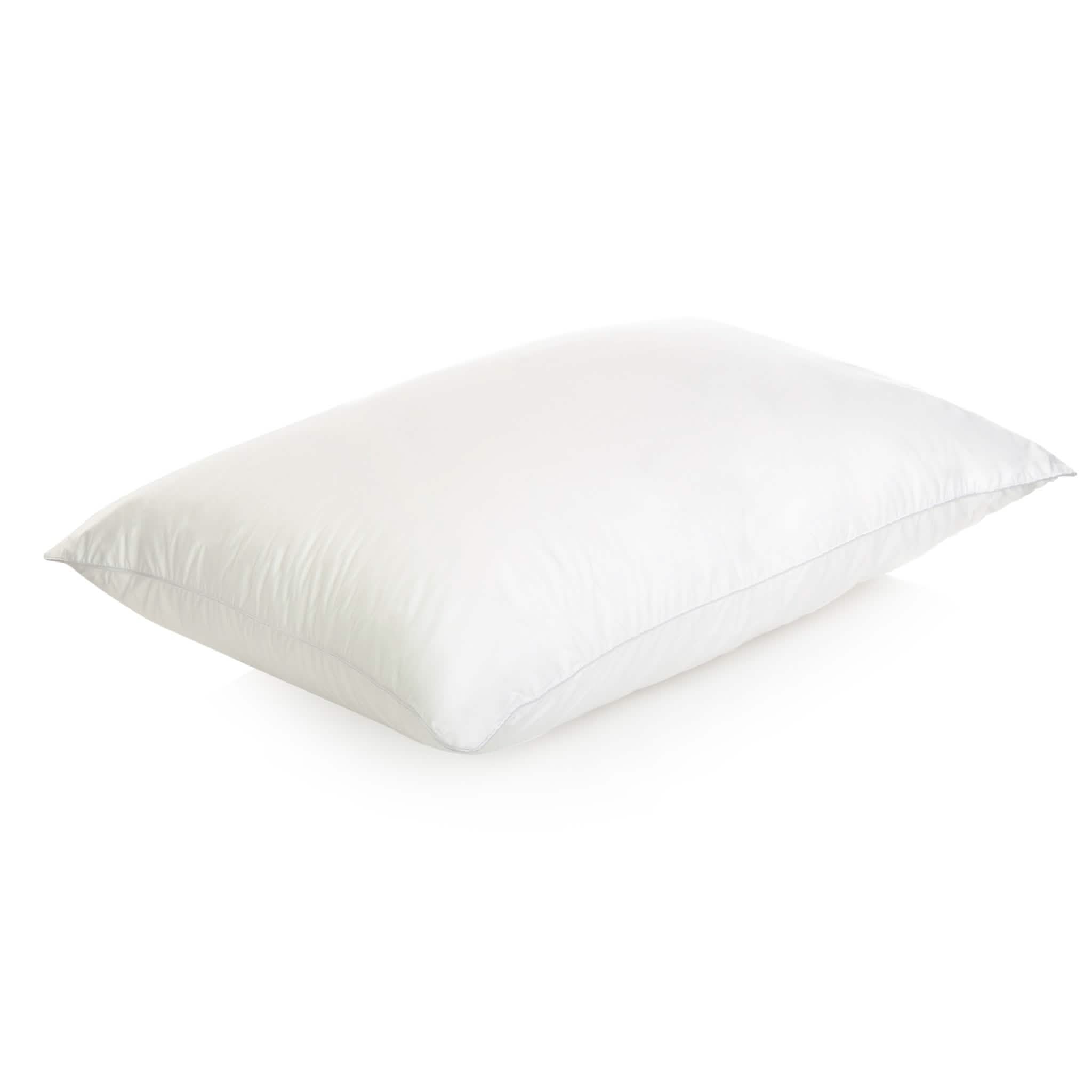 Dreams to Go Ovation Pillow