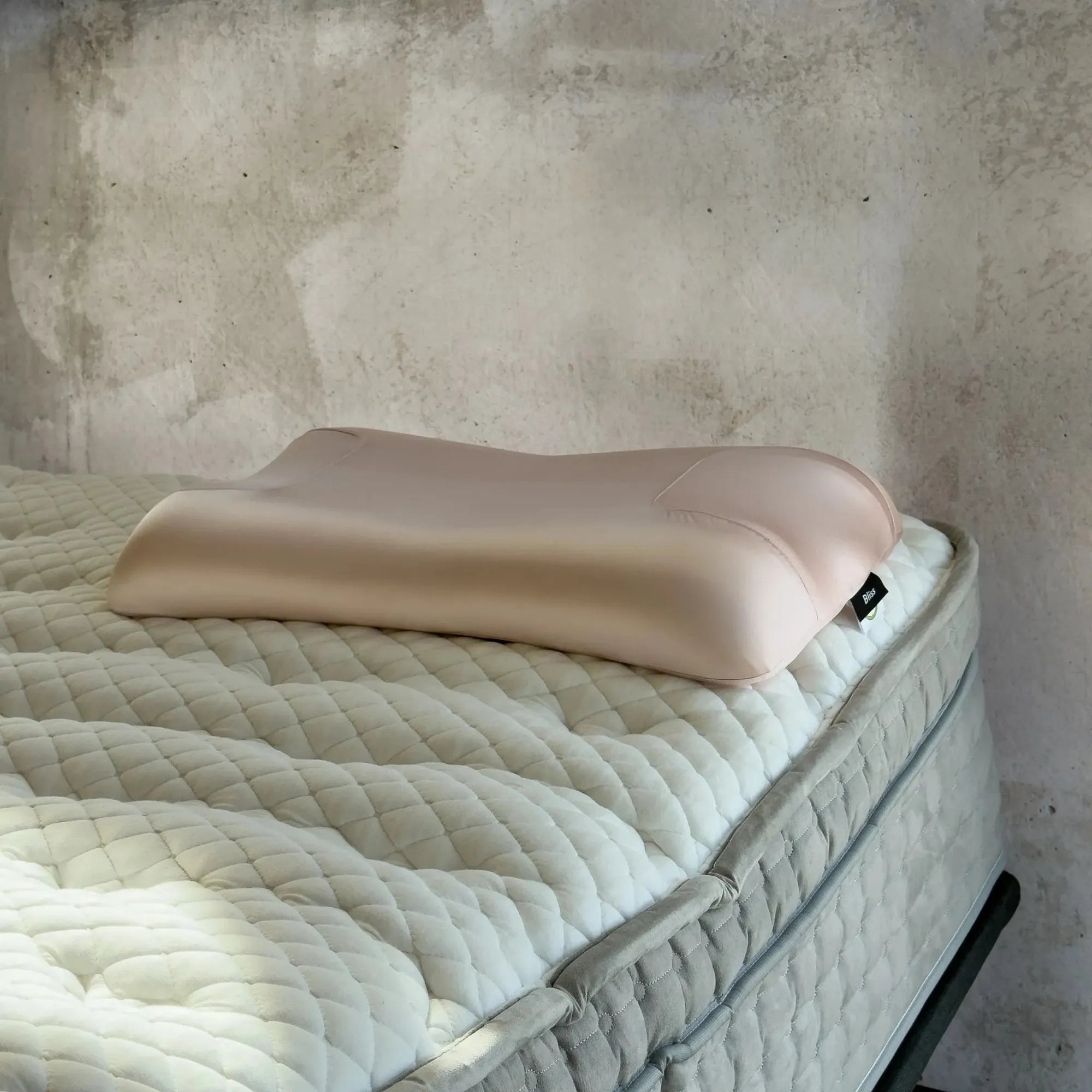 Bliss Beauty Pillow at Mattress Mattress