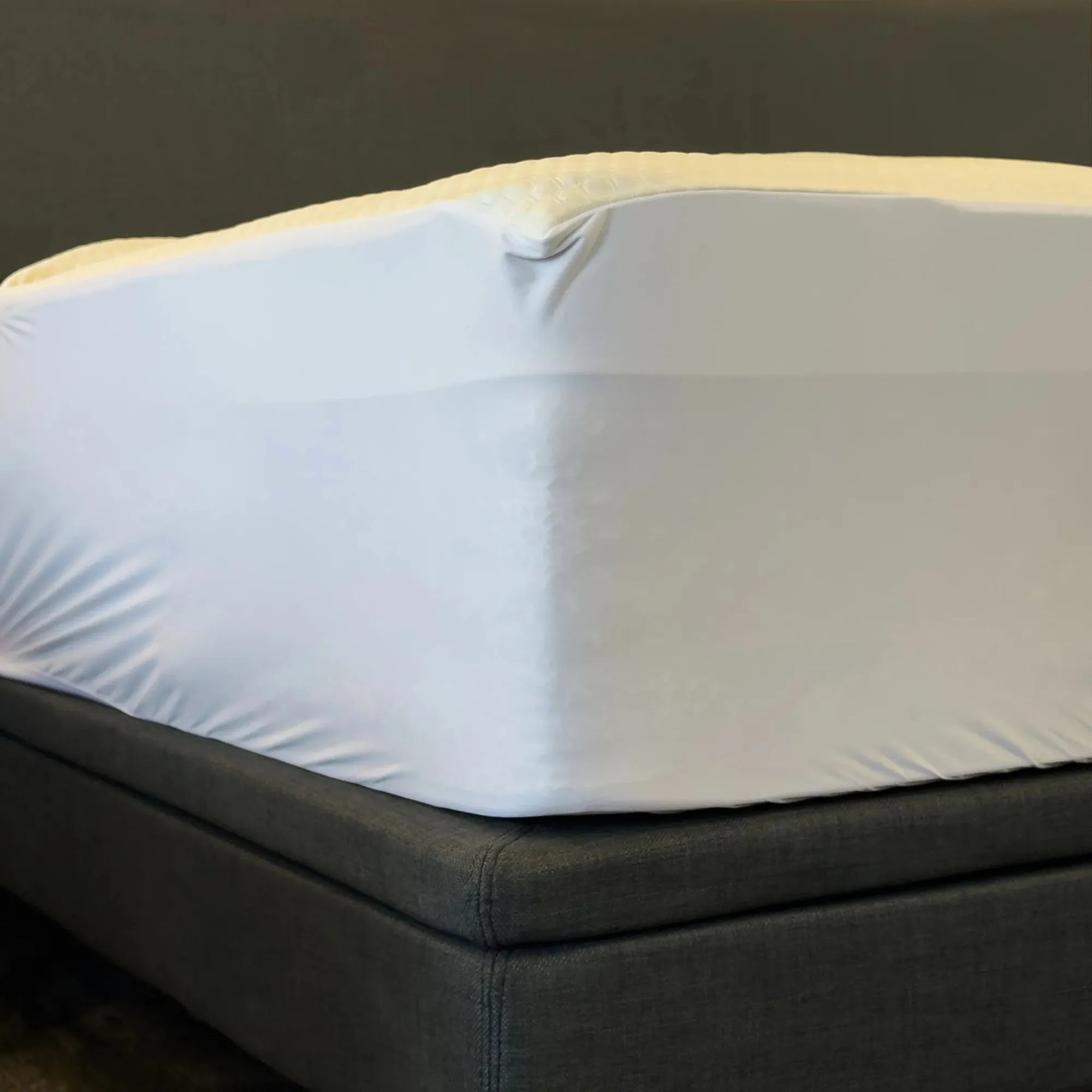 Igloo Mattress Protector at Mattress Mattress