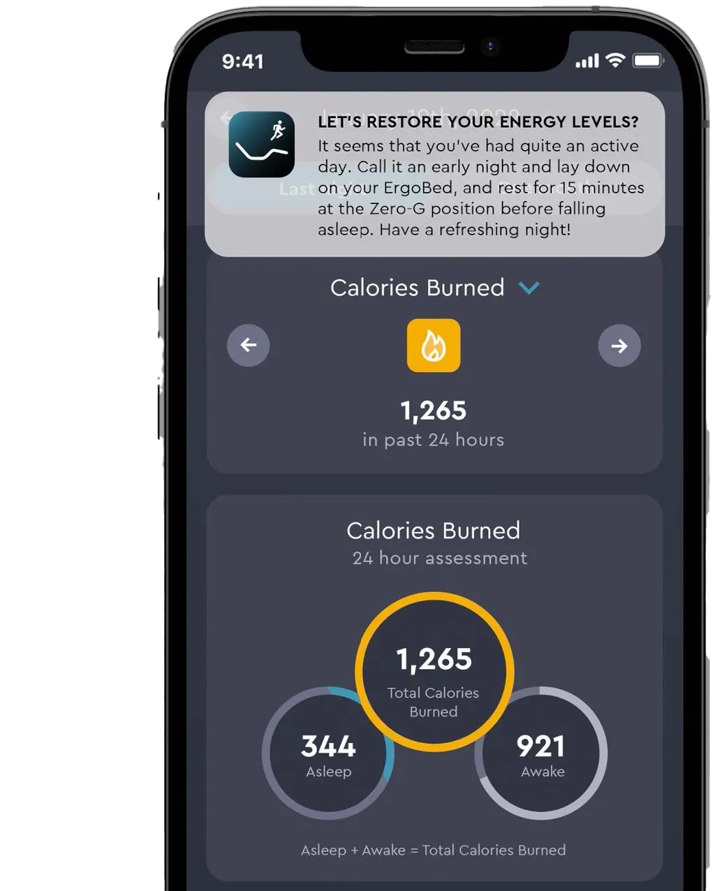 ErgoSportive Adjustable Bed