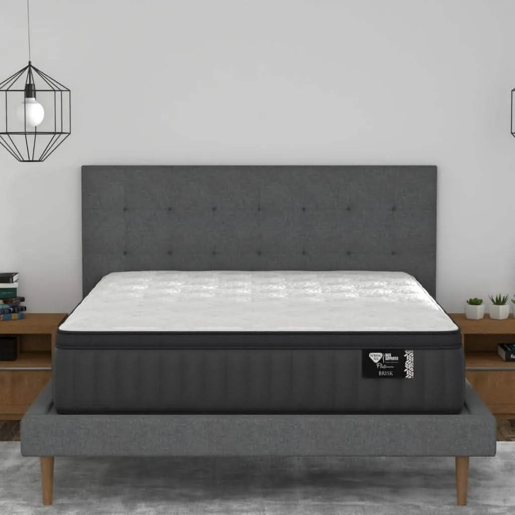 Spring Air Brisk Mattress